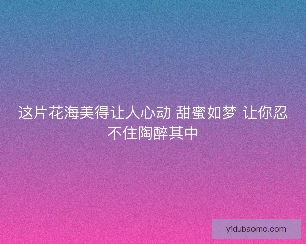 这片花海美得让人心动 甜蜜如梦 让你忍不住陶醉其中 这片花海美得让人心动 甜蜜如梦 让你忍不住陶醉其中