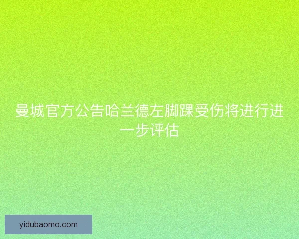曼城官方公告哈兰德左脚踝受伤将进行进一步评估