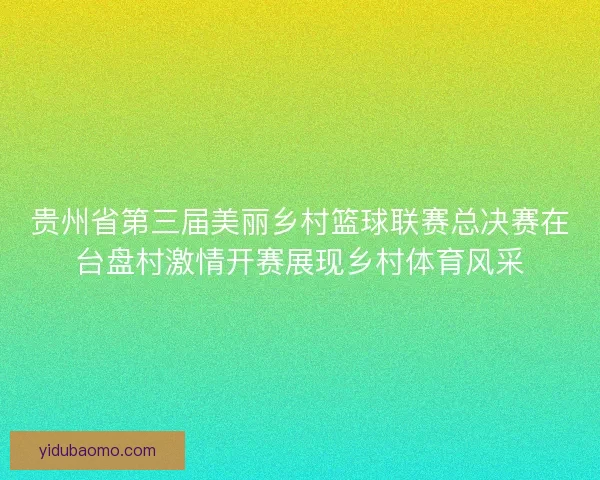贵州省第三届美丽乡村篮球联赛总决赛在台盘村激情开赛展现乡村体育风采
