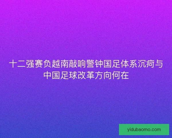 十二强赛负越南敲响警钟国足体系沉疴与中国足球改革方向何在 十二强赛负越南敲响警钟国足体系沉疴与中国足球改革方向何在